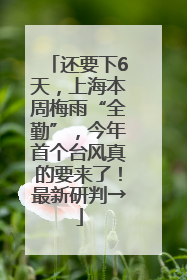 还要下6天，上海本周梅雨“全勤”，今年首个台风真的要来了！最新研判→