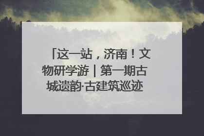 这一站，济南！文物研学游｜第一期古城遗韵·古建筑巡迹之旅圆满结束