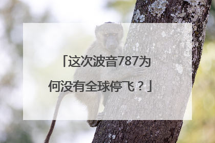 这次波音787为何没有全球停飞？