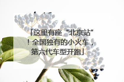 这里有座“北京站”！全国独有的小火车，第六代车型开跑