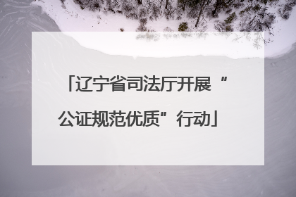 辽宁省司法厅开展“公证规范优质”行动