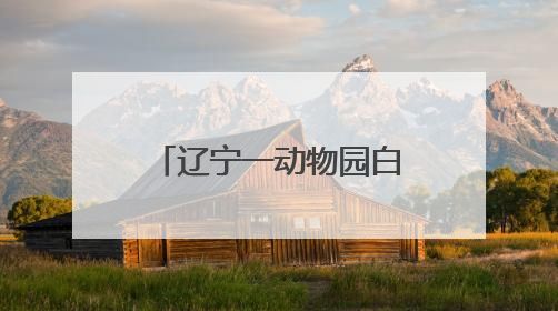 辽宁一动物园白眉长臂猿猴高考期间不对外展出，园方：它们一高兴就喜欢鸣叫，怕影响考试