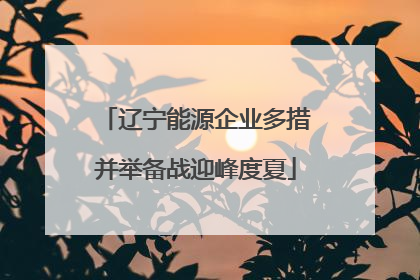辽宁能源企业多措并举备战迎峰度夏