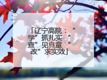 辽宁高院：“学”抓扎实 “查”见真章 “改”求实效