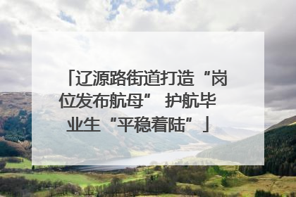 辽源路街道打造“岗位发布航母” 护航毕业生“平稳着陆”