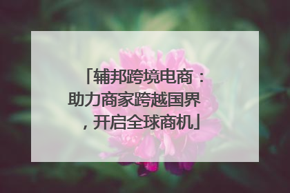 辅邦跨境电商：助力商家跨越国界，开启全球商机
