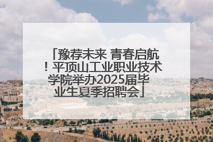 豫荐未来 青春启航！平顶山工业职业技术学院举办2025届毕业生夏季招聘会