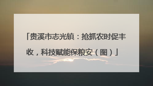 贵溪市志光镇：抢抓农时促丰收，科技赋能保粮安（图）