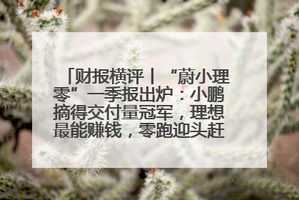 财报横评丨“蔚小理零”一季报出炉：小鹏摘得交付量冠军，理想最能赚钱，零跑迎头赶上，蔚来还在调整