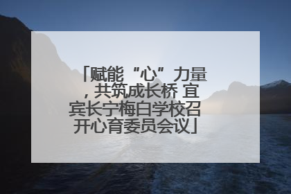 赋能“心”力量，共筑成长桥 宜宾长宁梅白学校召开心育委员会议