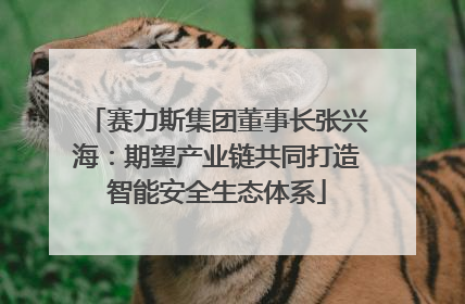 赛力斯集团董事长张兴海：期望产业链共同打造智能安全生态体系