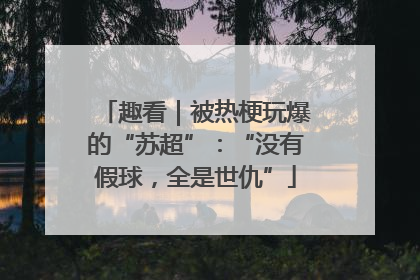 趣看｜被热梗玩爆的“苏超”：“没有假球，全是世仇”