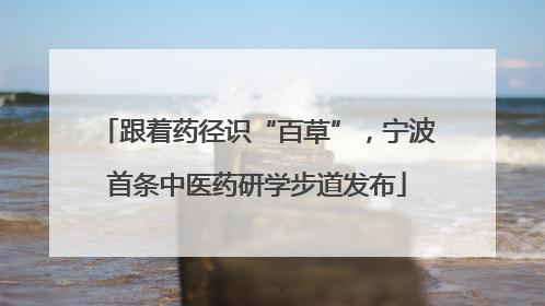 跟着药径识“百草”，宁波首条中医药研学步道发布