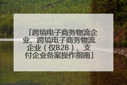 跨境电子商务物流企业、跨境电子商务物流企业（仅B2B）、支付企业备案操作指南
