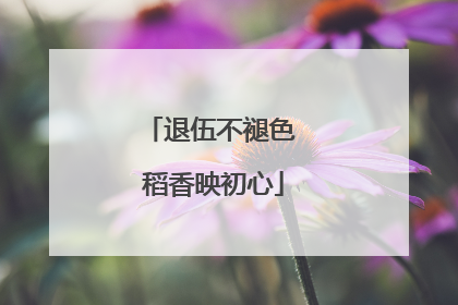 退伍不褪色 稻香映初心