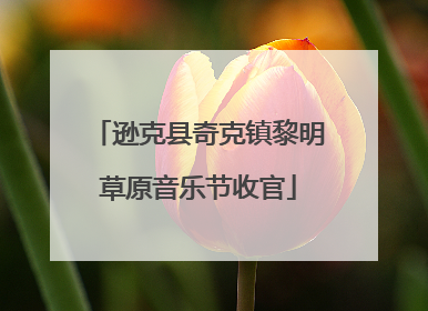 逊克县奇克镇黎明草原音乐节收官