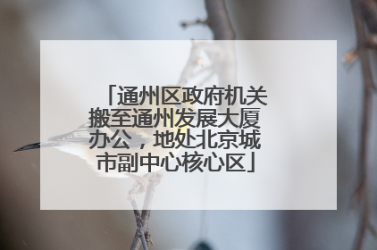 通州区政府机关搬至通州发展大厦办公，地处北京城市副中心核心区