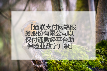通联支付网络服务股份有限公司以保付通数经平台助保险业数字升级