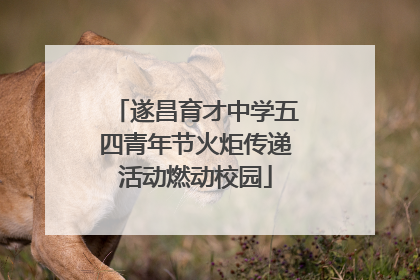 遂昌育才中学五四青年节火炬传递活动燃动校园