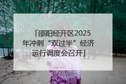 邵阳经开区2025年冲刺“双过半”经济运行调度会召开