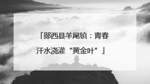 郧西县羊尾镇：青春汗水浇灌“黄金叶”