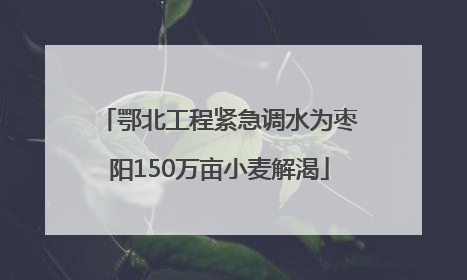 鄂北工程紧急调水为枣阳150万亩小麦解渴