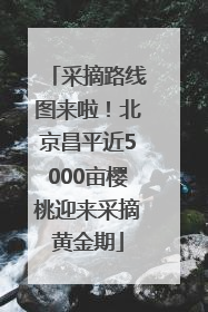 采摘路线图来啦！北京昌平近5000亩樱桃迎来采摘黄金期