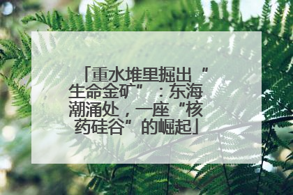 重水堆里掘出“生命金矿”：东海潮涌处，一座“核药硅谷”的崛起