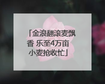 金浪翻滚麦飘香 乐至4万亩小麦抢收忙