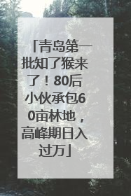 青岛第一批知了猴来了！80后小伙承包60亩林地，高峰期日入过万