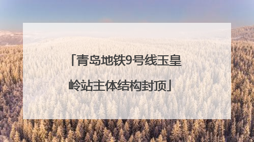 青岛地铁9号线玉皇岭站主体结构封顶
