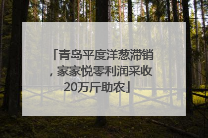 青岛平度洋葱滞销，家家悦零利润采收20万斤助农