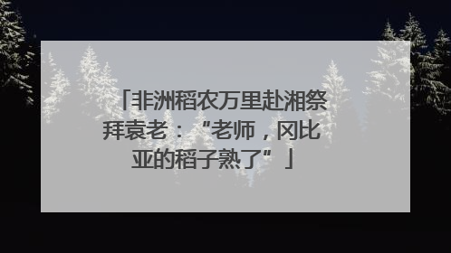 非洲稻农万里赴湘祭拜袁老：“老师，冈比亚的稻子熟了”