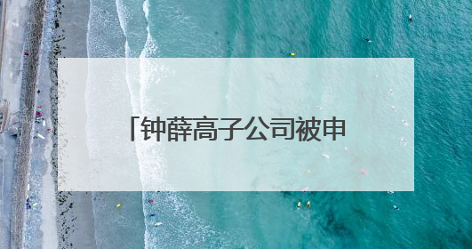 钟薛高子公司被申请破产 创始人账号“钟薛高老林”粉丝仅1800余人