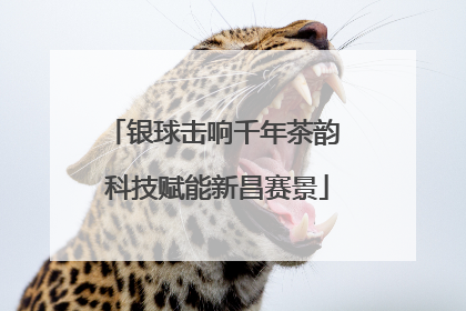 银球击响千年茶韵 科技赋能新昌赛景