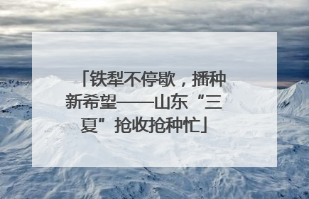 铁犁不停歇，播种新希望——山东“三夏”抢收抢种忙