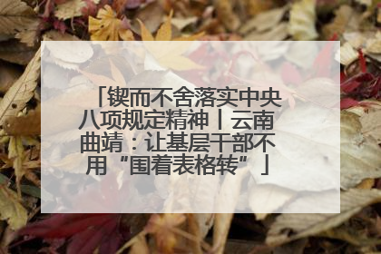 锲而不舍落实中央八项规定精神丨云南曲靖：让基层干部不用“围着表格转”