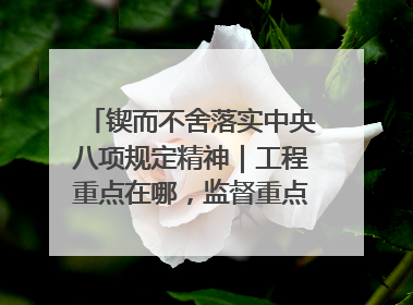 锲而不舍落实中央八项规定精神｜工程重点在哪，监督重点就在哪——广西深化政治监督护航平陆运河建设