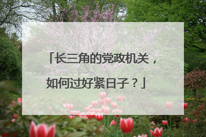 长三角的党政机关，如何过好紧日子？