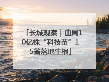 长城观察｜曲周10亿株“科技苗”15省落地生根