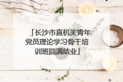长沙市直机关青年党员理论学习骨干培训班圆满结业