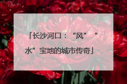 长沙河口：“风”“水”宝地的城市传奇