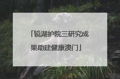 镜湖护院三研究成果助建健康澳门