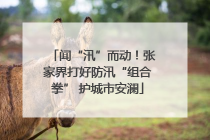 闻“汛”而动！张家界打好防汛“组合拳” 护城市安澜