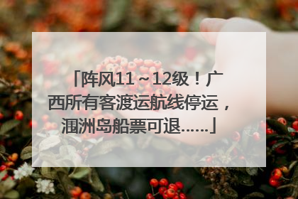 阵风11～12级！广西所有客渡运航线停运，涠洲岛船票可退……