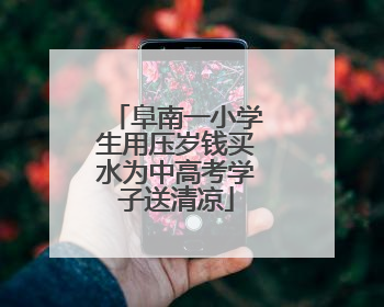 阜南一小学生用压岁钱买水为中高考学子送清凉