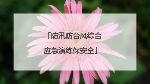 防汛防台风综合应急演练保安全