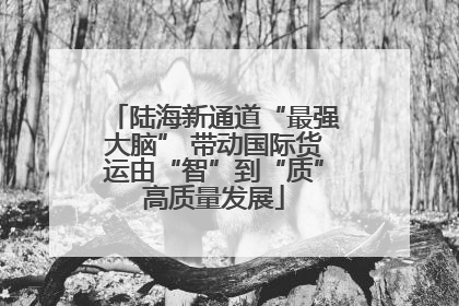 陆海新通道“最强大脑” 带动国际货运由“智”到“质”高质量发展