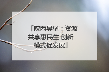 陕西吴堡：资源共享惠民生 创新模式促发展