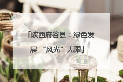陕西府谷县：绿色发展 “风光”无限